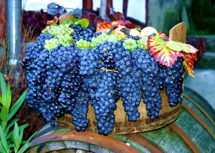 Am Goetheberg Hotel 3*